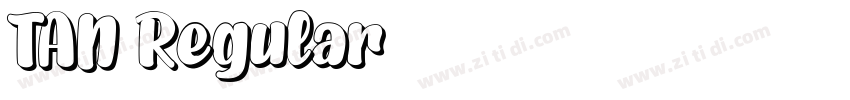 TAN Regular字体转换